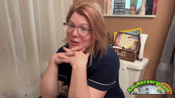 amimercury.com - Toilet Check In thumbnail